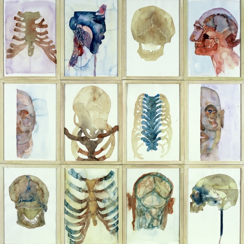 Anatomische Les, 1996, aquarel, 120 x 120 cm, collectie Anatomisch Museum, Leiden