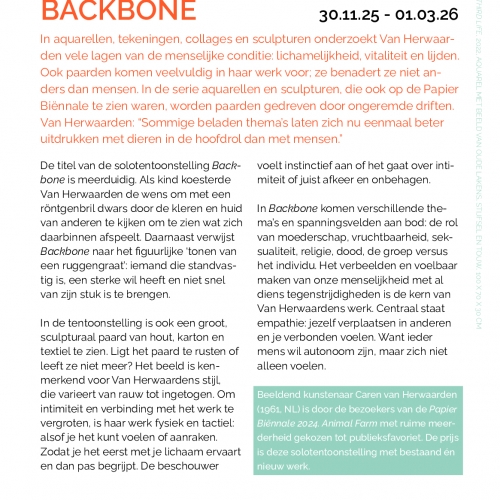 Flyer Backbone achterkant